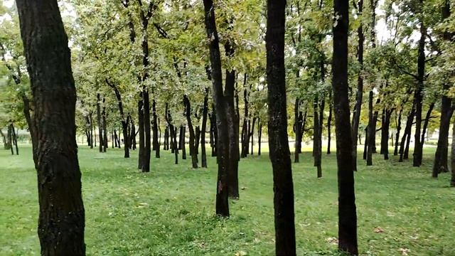 Киев | Оболонь | Парк 