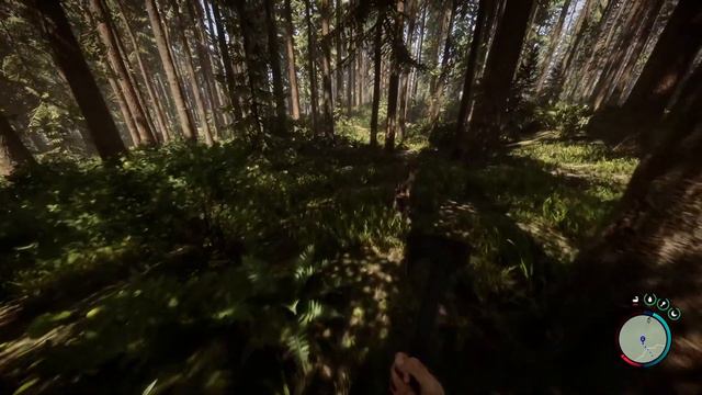 Начало #1 Sons of the forest.