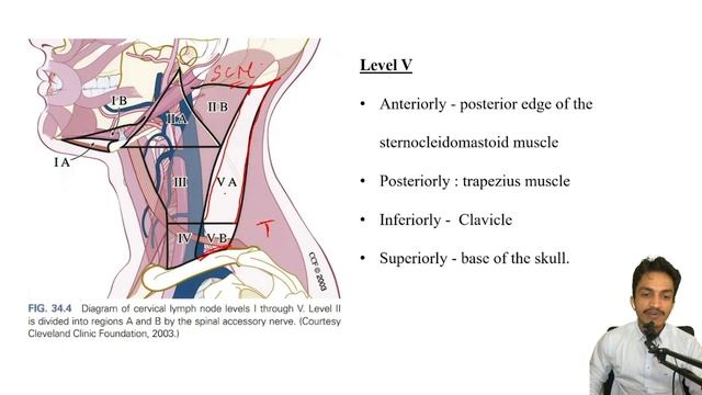SLGS | GENERAL SURGERY | QUICK REVISION | HEAD AND NECK | CERVICAL LYMPH NODE STATIONS | NEET SS смотреть онлайн