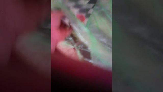 Я закончил 2 класс😹😹😹 смотреть онлайн