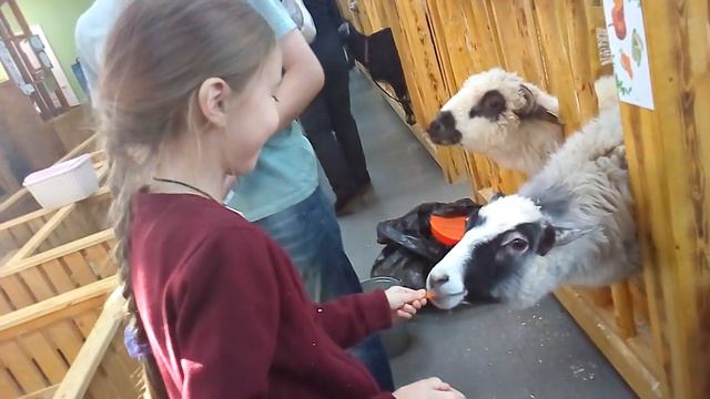 Тзп1 смотреть онлайн
