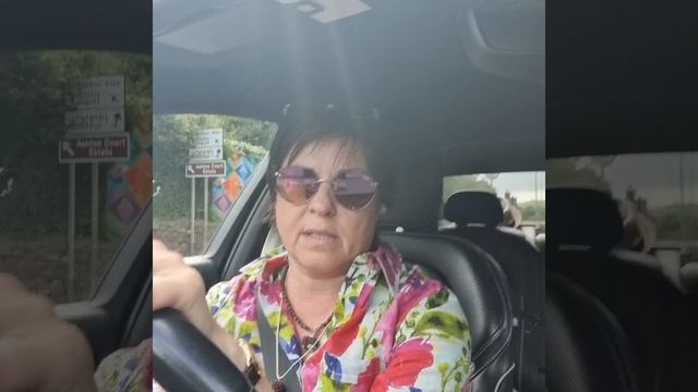 жизнь на пособия смотреть онлайн