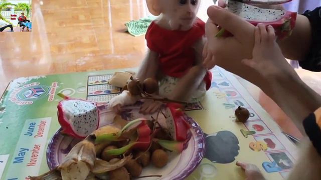 Mom takes care and loves the super cute Baby Kiwi and Apples смотреть онлайн