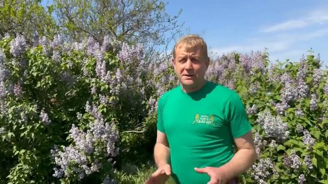 В Крыму ЛЬВЫ ВЫШЛИ НА СВОБОДУ!!! смотреть онлайн