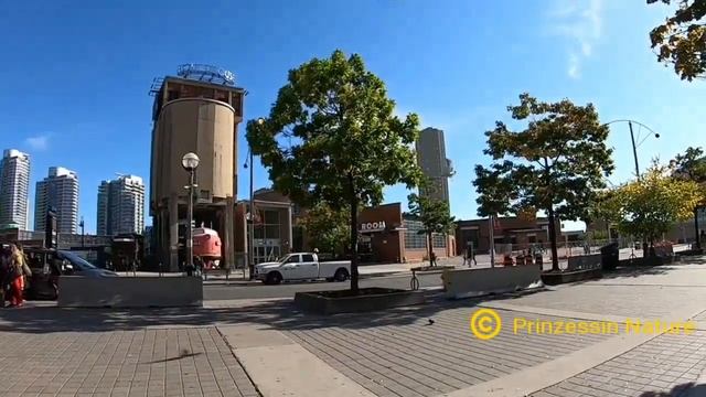 Toronto Canada - Cn Tower - Toronto Vlog смотреть онлайн