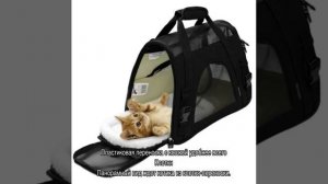 Переноска для кошек: варианты в виде рюкзака или как сделать своими руками
