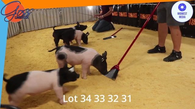 lot 31 32 33 34 смотреть онлайн