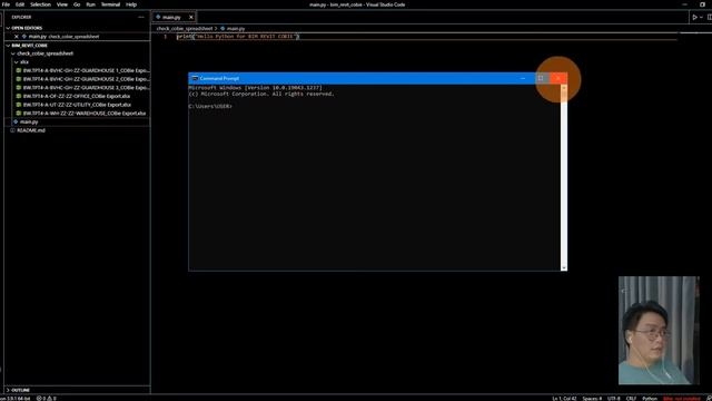 Python for BIM Revit coBie (2) смотреть онлайн