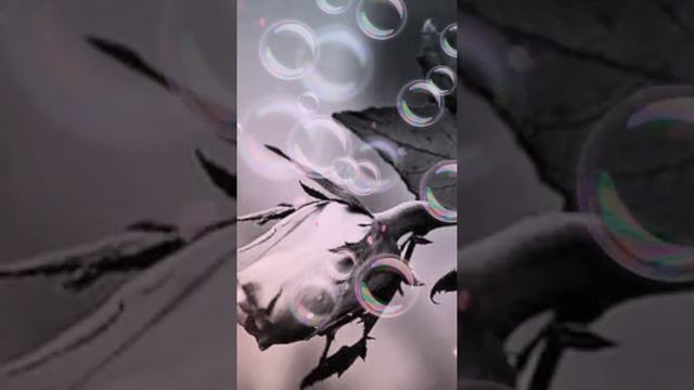 Короновирус обязательно кончится/ На канале Татьяна Степанова