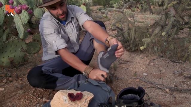 СОК для ЗОМБИ! (Делаем ЗОМБИ СОК в пустыне) Койот Питерсон на русском смотреть онлайн