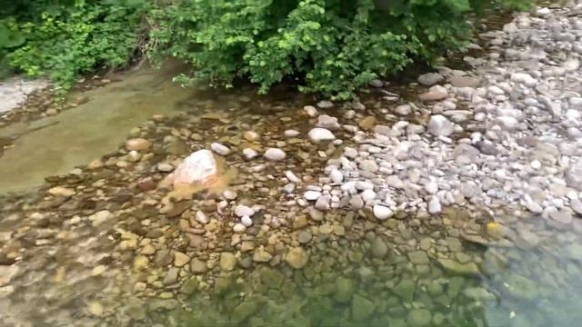 Река хоста сочи смотреть онлайн