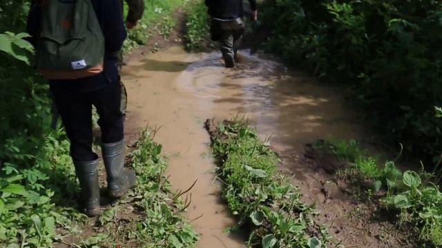 Поехал в столицу белого гриба и застрял на бездорожье. Северная Двина, Русский Север смотреть онлайн