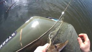 рыбалка на сети весной.щука идёт..mp4