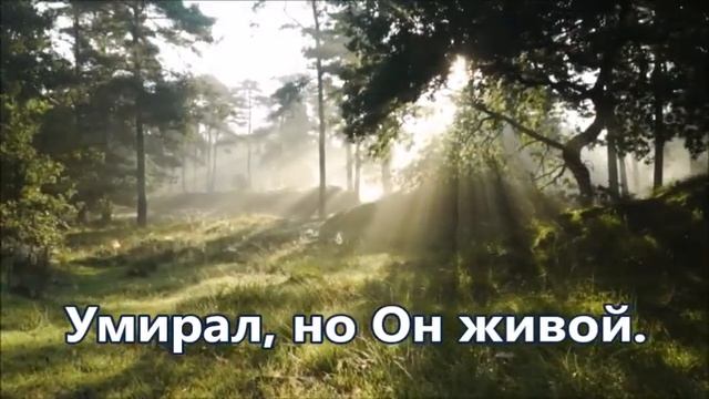 Иисус Христос воскрес! Милани Лисицина. Плюс с текстом смотреть онлайн