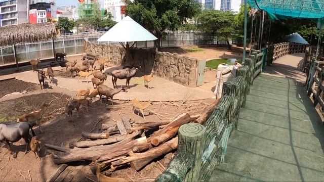 Вьетнам. Еду в Хошимин из Нячанга! Что посмотреть за 1 день в Хошимине. Сайгон, Вьетнам сегодня. смотреть онлайн