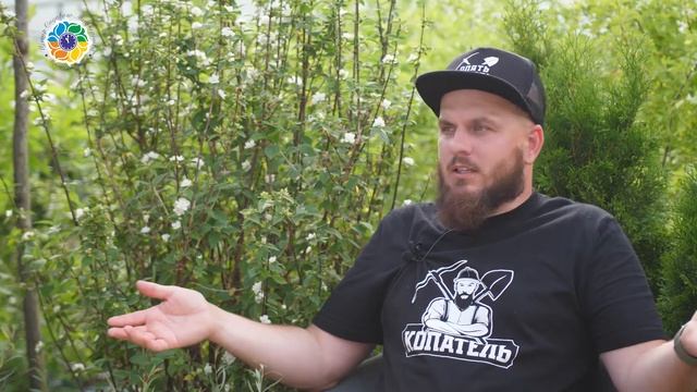 топ ошибок при отводе воды с участка смотреть онлайн