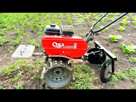 Обзор работы мотоблок Ока - окучиваем картофель.. смотреть онлайн