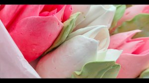 КАК ЗАКРЕПИТЬ НАСАДКУ ДЛЯ ЗЕФИРНЫХ ТЮЛЬПАНОВ