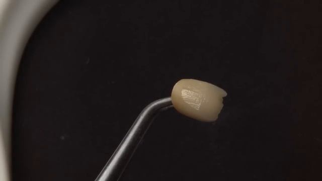 Алек Аронин - Техника нанесения внутренних красителей (Internal stain) керамики Noritake™ CZR смотреть онлайн