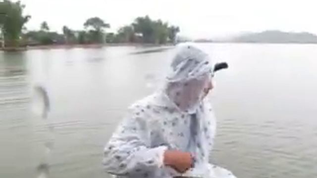 401 Вьетнам ДАКЛАК КАТАЕМСЯ НА СЛОНАХ ПО ДНУ ОЗЕРА ЛАК Vietnam DAKLAK Riding elephants bottom lake смотреть онлайн