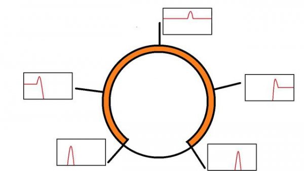 Обзор синтезатора НЕЙРОСИНГУЛЯРНОСТЬ