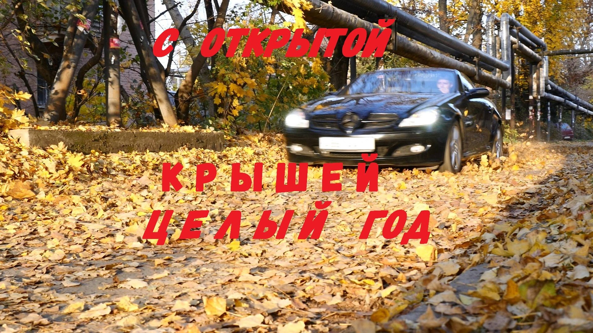 ОБЗОР SLK 280 ГОД ЭКСПЛУАТАЦИИ смотреть онлайн