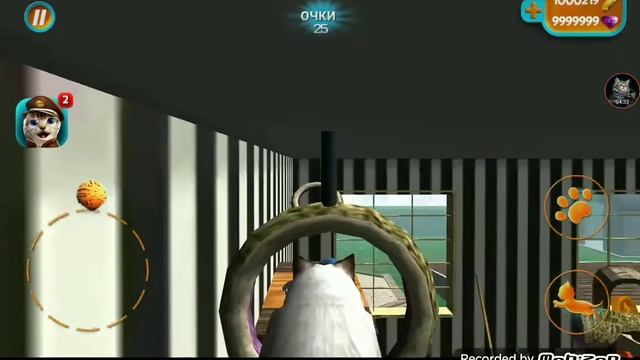 Обзор взломанной версии игры симулятора кота часть 1 смотреть онлайн