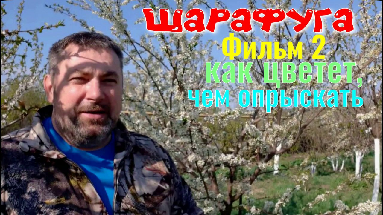 Шарафуга Фильм 2. Как Цветет, чем Опрыскивать. Секреты Садовода. смотреть онлайн