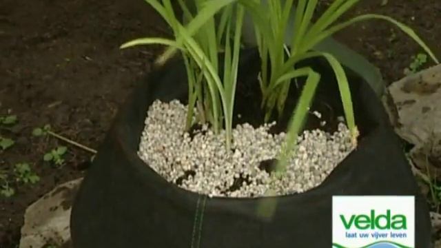 Плавающая корзина для прудовых растений Floating Plant Baskets смотреть онлайн