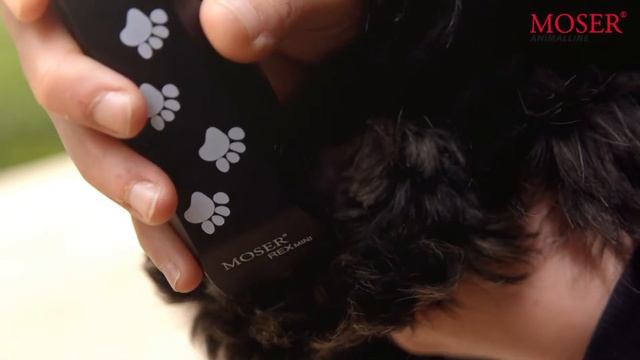 MOSER Animal машинки для стрижки животных смотреть онлайн