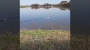 Рыбалка на карпа ВКО