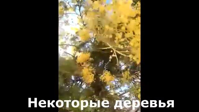 Февраль в Греции . Несколько дней назад это очень редкое явление для Греции случилось. смотреть онлайн