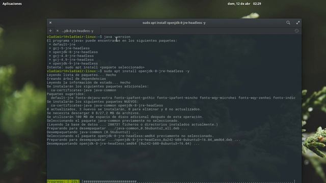 Cómo instalar Java 8 en elementary OS смотреть онлайн