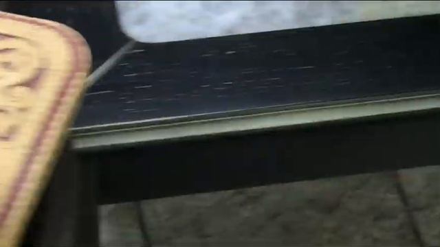 Экскурсия по галерее и синицы в гостях!! смотреть онлайн