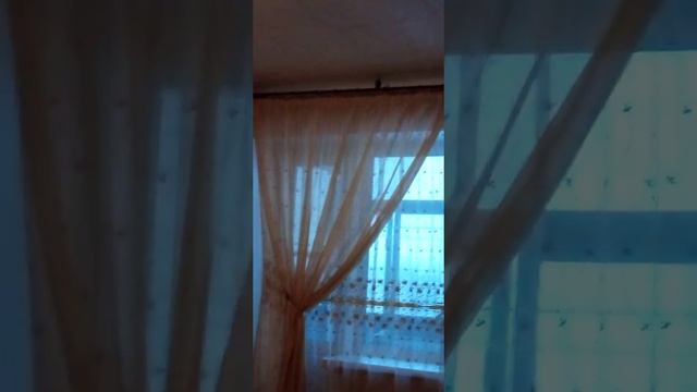 Залетела значит к нам птичка... Описание ? смотреть онлайн