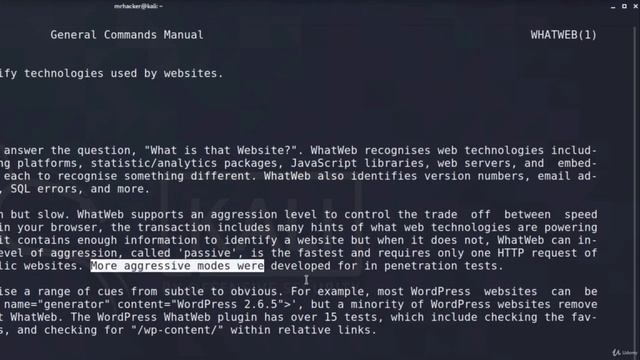 12 Whatweb Web Security & Bug Bounty Learn Penetration Testing in 2022 смотреть онлайн