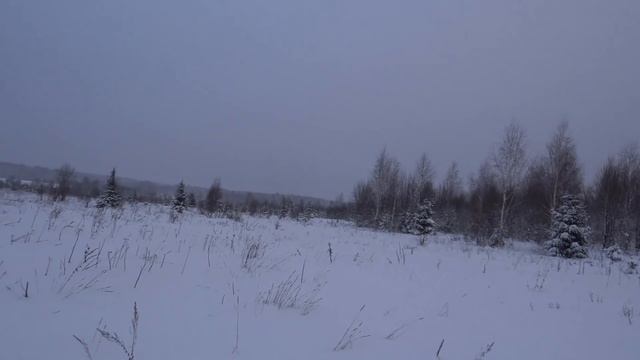 ОХОТА на ЗАЙЦА с РУССКОЙ ГОНЧЕЙ.23 декабря.сезон 2021-2022. смотреть онлайн