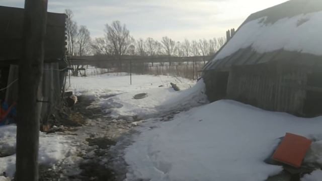 Мотоблок после зимней спячки смотреть онлайн