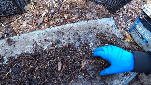 Сколько заработал на червях для рыбалки за одно утро? смотреть онлайн