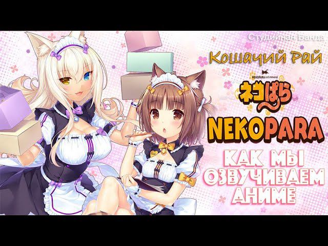 КАК ОЗВУЧИВАЮТ АНИМЕ | NekoparA | НекопарА | Кошачий Рай | StudioBand | Студийная Банда