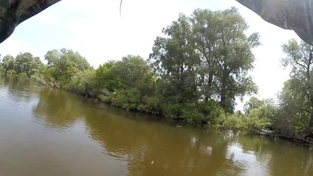 БЫВАЕТ ЖЕ ТАКОЙ КЛЕВ!!! Окуни на ПОППЕР В ЛЕСУ! Судаки на джиг! Спиннинг на малой речке! смотреть онлайн