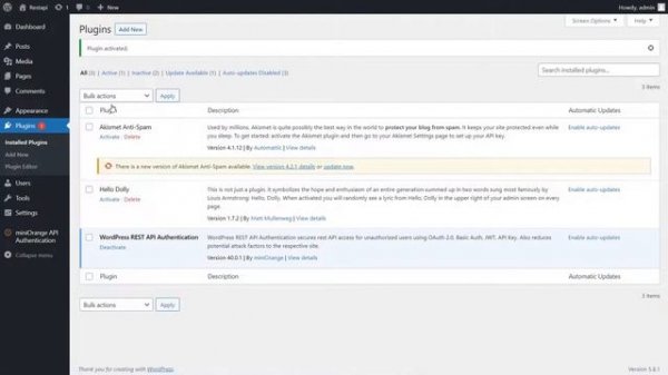 API Key Authentication For WordPress REST APIs