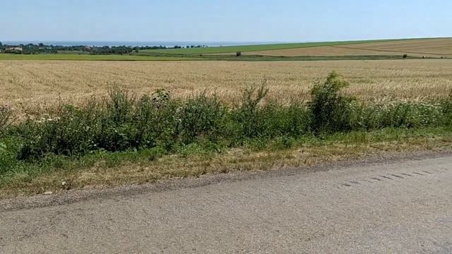 Поля в Донецкой области.Не далеко от Урзуфа. смотреть онлайн