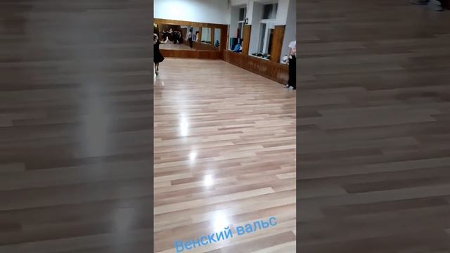 Необыкновенно красивый, грациозный и элегантный венский вальс. смотреть онлайн