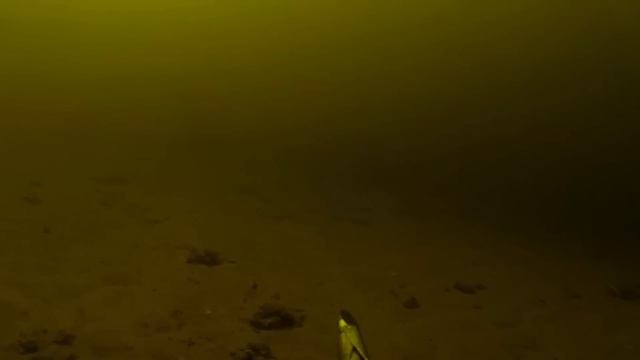 БаХва In The Engels City. Закрытие сезона ( сбор подвохов)