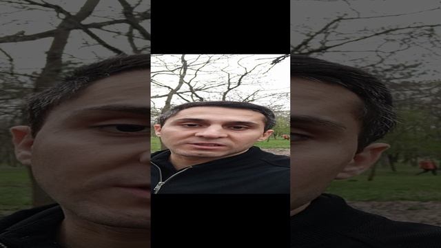 Готовимся к новой жене? смотреть онлайн