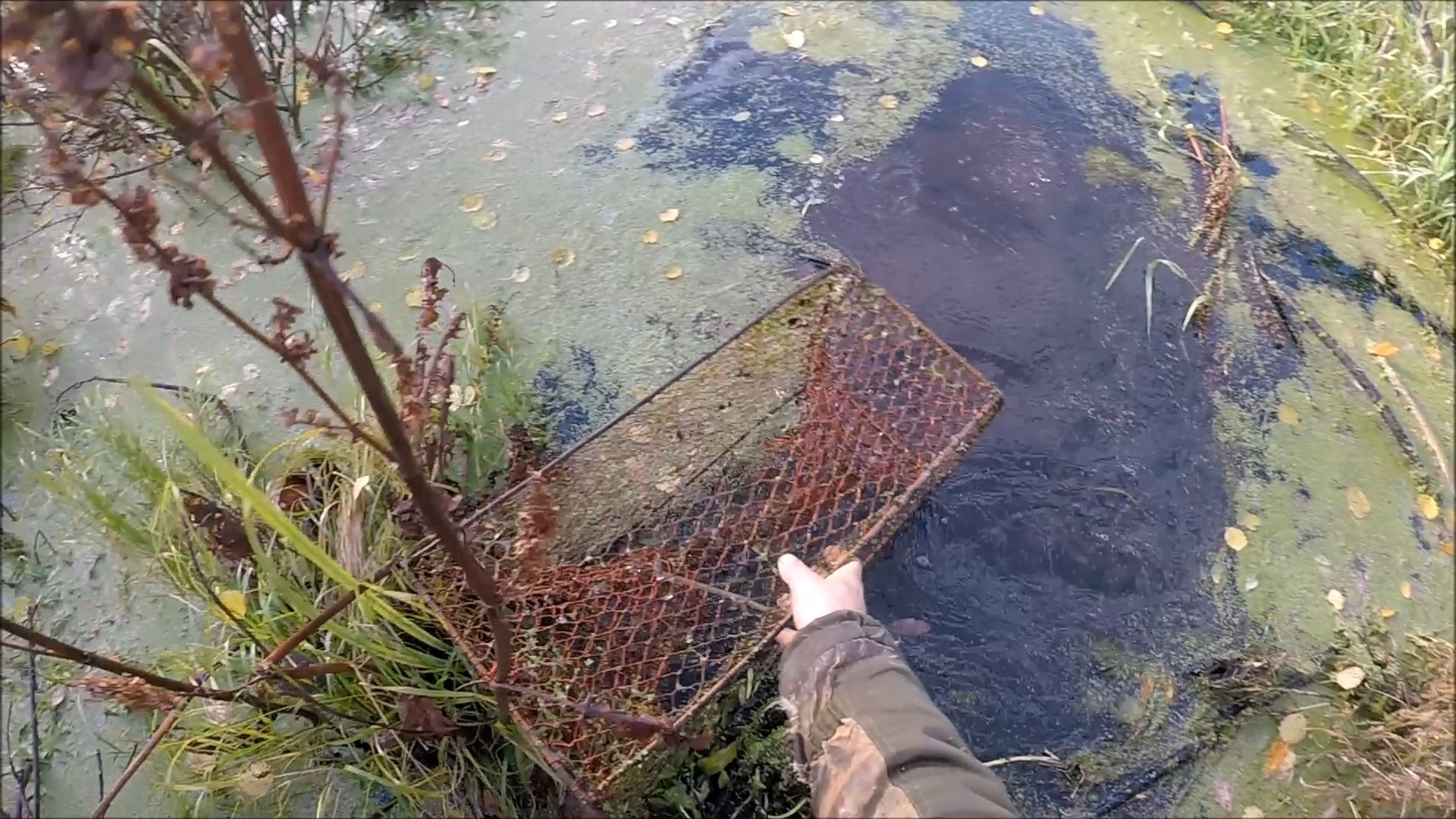 Охота на ондатру мордами (Будни охотника и рыбака) смотреть онлайн