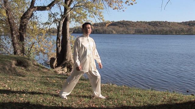 Tai Chi for Beginners | Best Instructional Video to Learn Tai Chi | Basics Tutorial смотреть онлайн