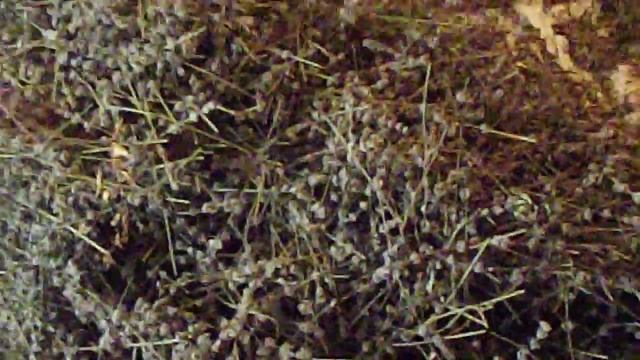 Здоровое питание для детей