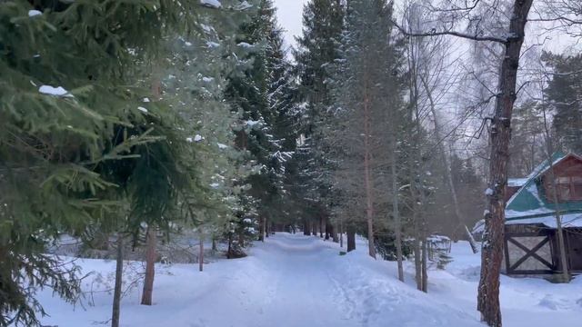 Самостоятельная поездка в Тулу. Усадьба Поленово. День 1-ый смотреть онлайн